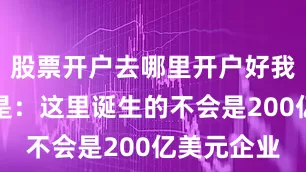 股票开户去哪里开户好我们的判断是：这里诞生的不会是200亿美元企业